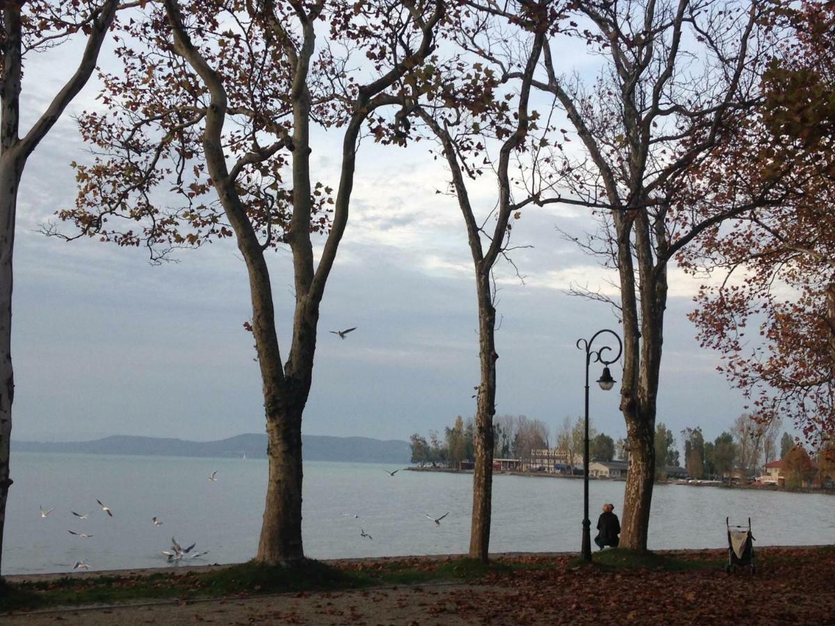 Tamas Apartman Balatonfoeldvar Sziveben- Egesz Evben Nyitva! Luaran gambar