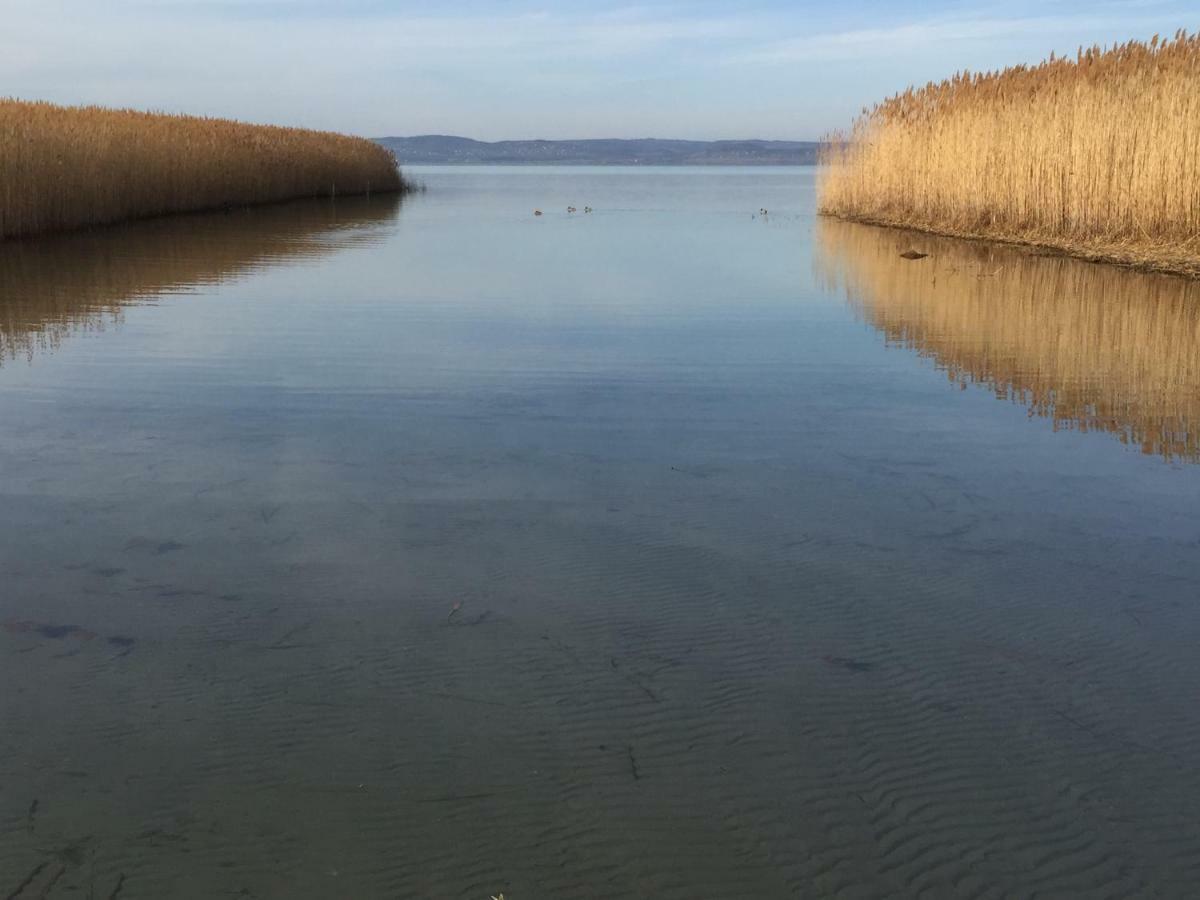 Tamas Apartman Balatonfoeldvar Sziveben- Egesz Evben Nyitva! Apartment Luaran gambar