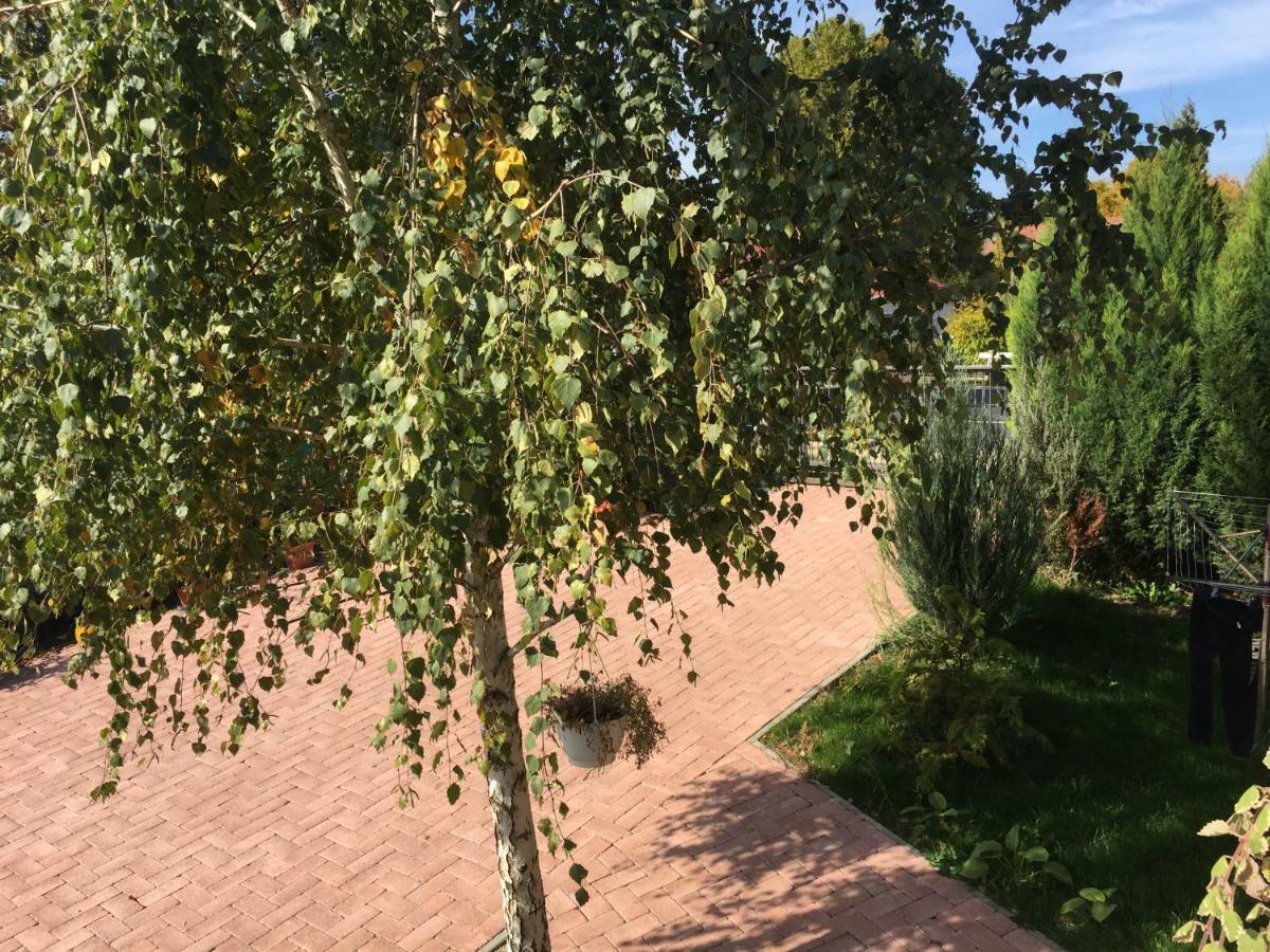 Tamas Apartman Balatonfoeldvar Sziveben- Egesz Evben Nyitva! Luaran gambar